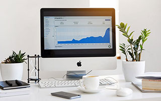 猛龙队连续击败对手，走向胜利