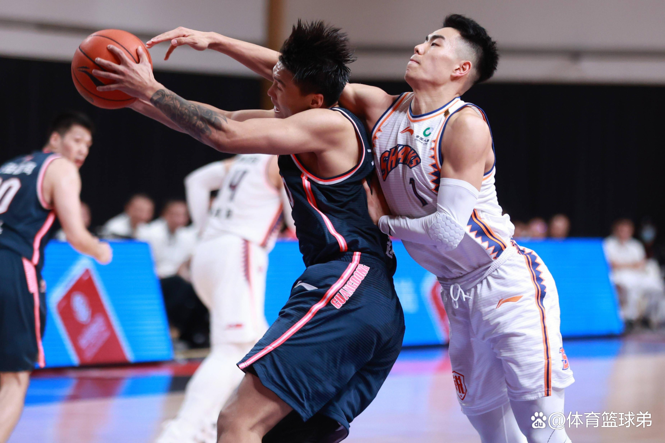 浙江男篮横扫对手，净胜对方二十分以上