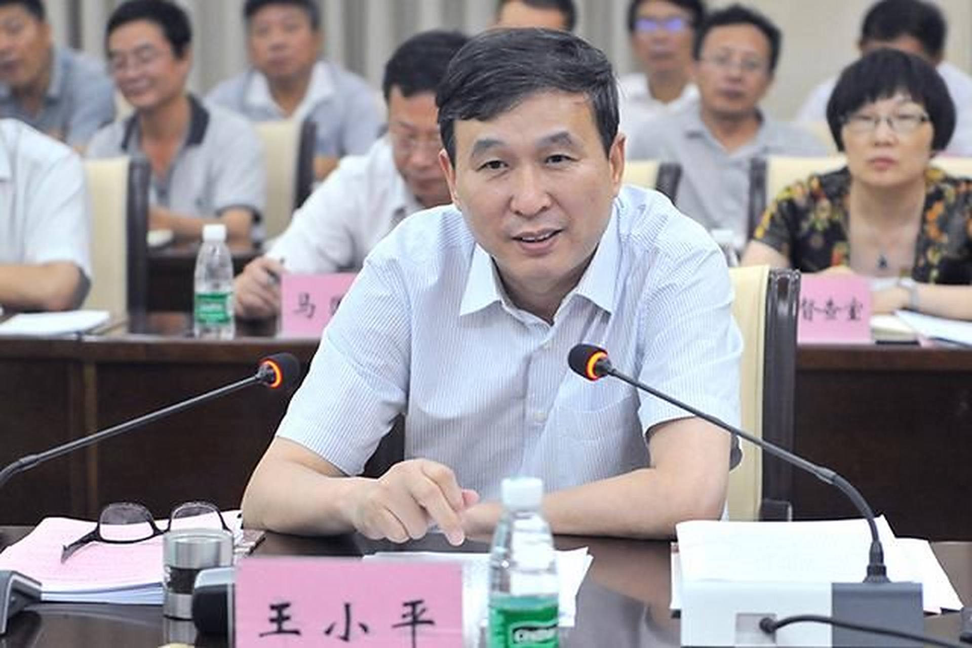 包含足协原纪律委员会主任王小平一审获刑10年6个月罚70万的词条